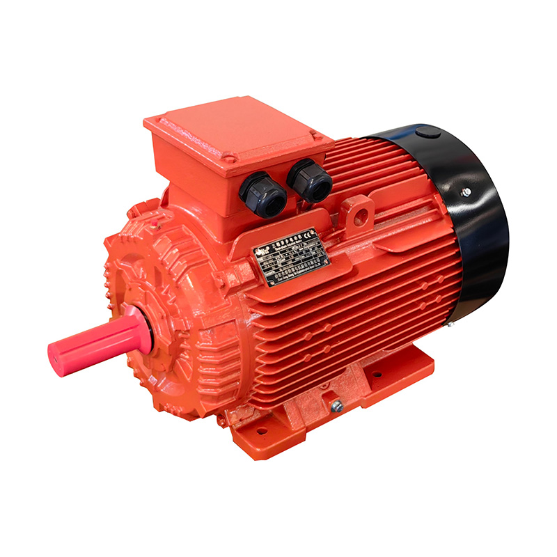 YE5 серия высокоэффективных электродвигателей из чугуна (габарит 80-355)