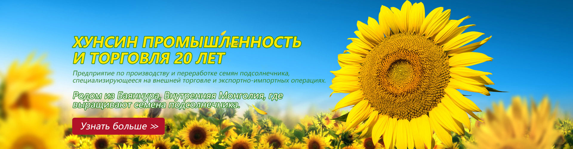 Семечки подсолнечника 363 товар