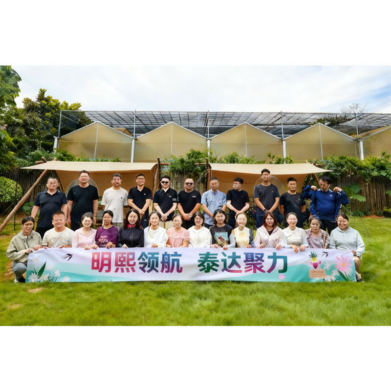 Симфония технологий и природы: инновационная командная поездка команды MXTD в Сишуанбаньна