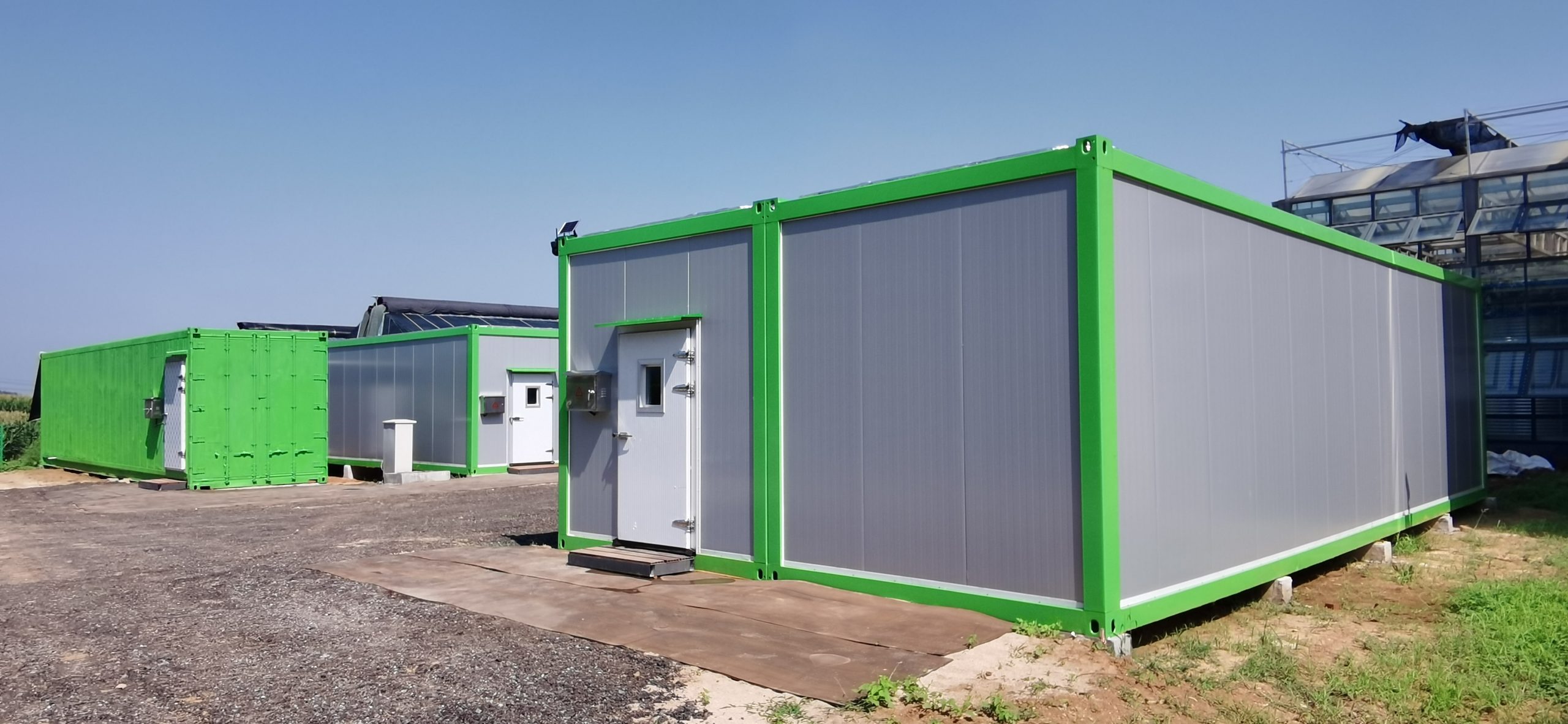 Мудрый квадратный гриб, занятый наукой, поможет оживить