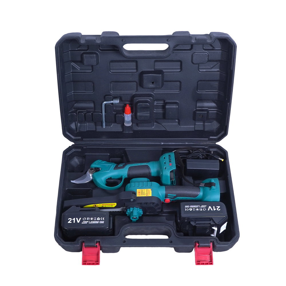 Комплект инструментов для обрезки сада: цепная пила и сучкорез