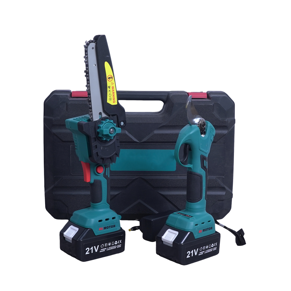 Комплект инструментов для обрезки сада: цепная пила и сучкорез