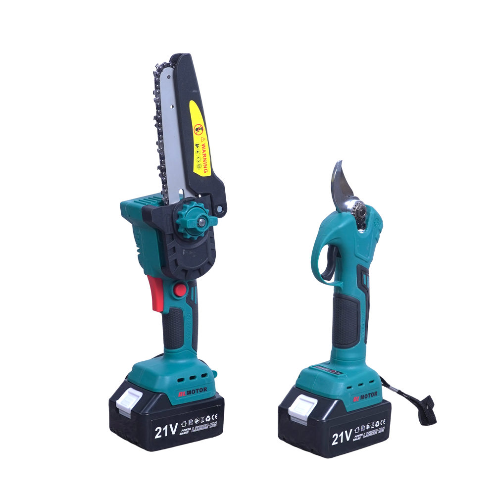 Комплект инструментов для обрезки сада: цепная пила и сучкорез