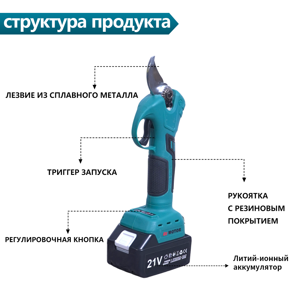 Комплект инструментов для обрезки сада: цепная пила и сучкорез