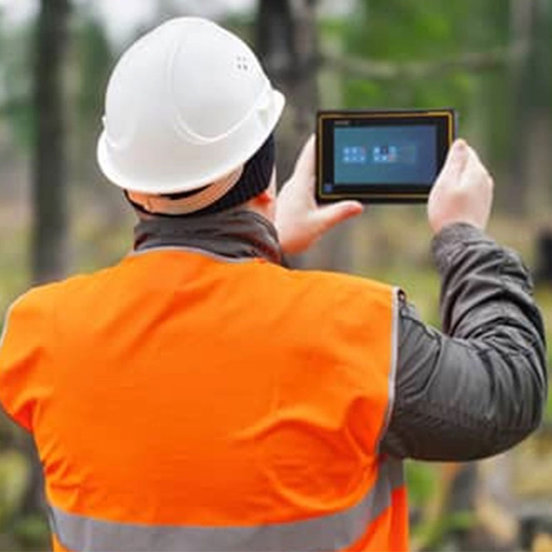 Природные ресурсы — защищённые компьютерные решения для ГИС-картографирования и лесоуправления