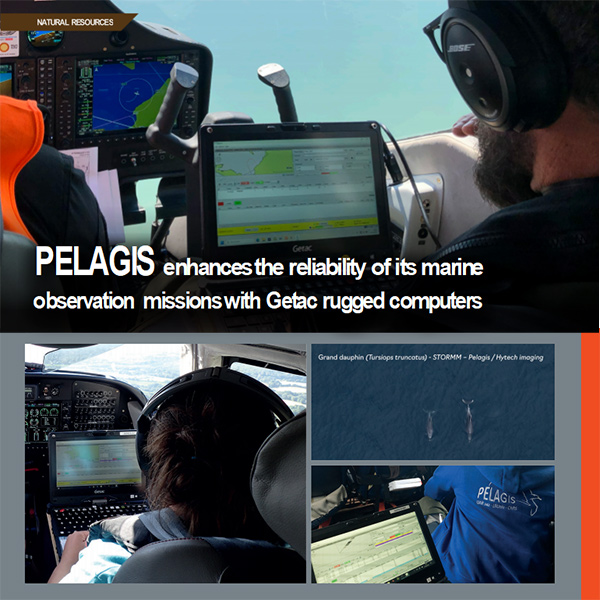 Пример реализации проекта PELAGIS
