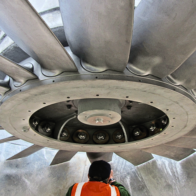 Giá ảnh hưởng đến quyết định mua một người hâm mộ đường hầm như thế nào: Tâm lý của người mua và lựa chọn tốt nhất