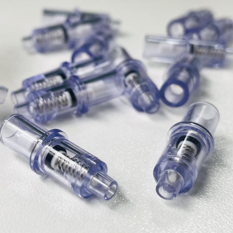 Check Valve