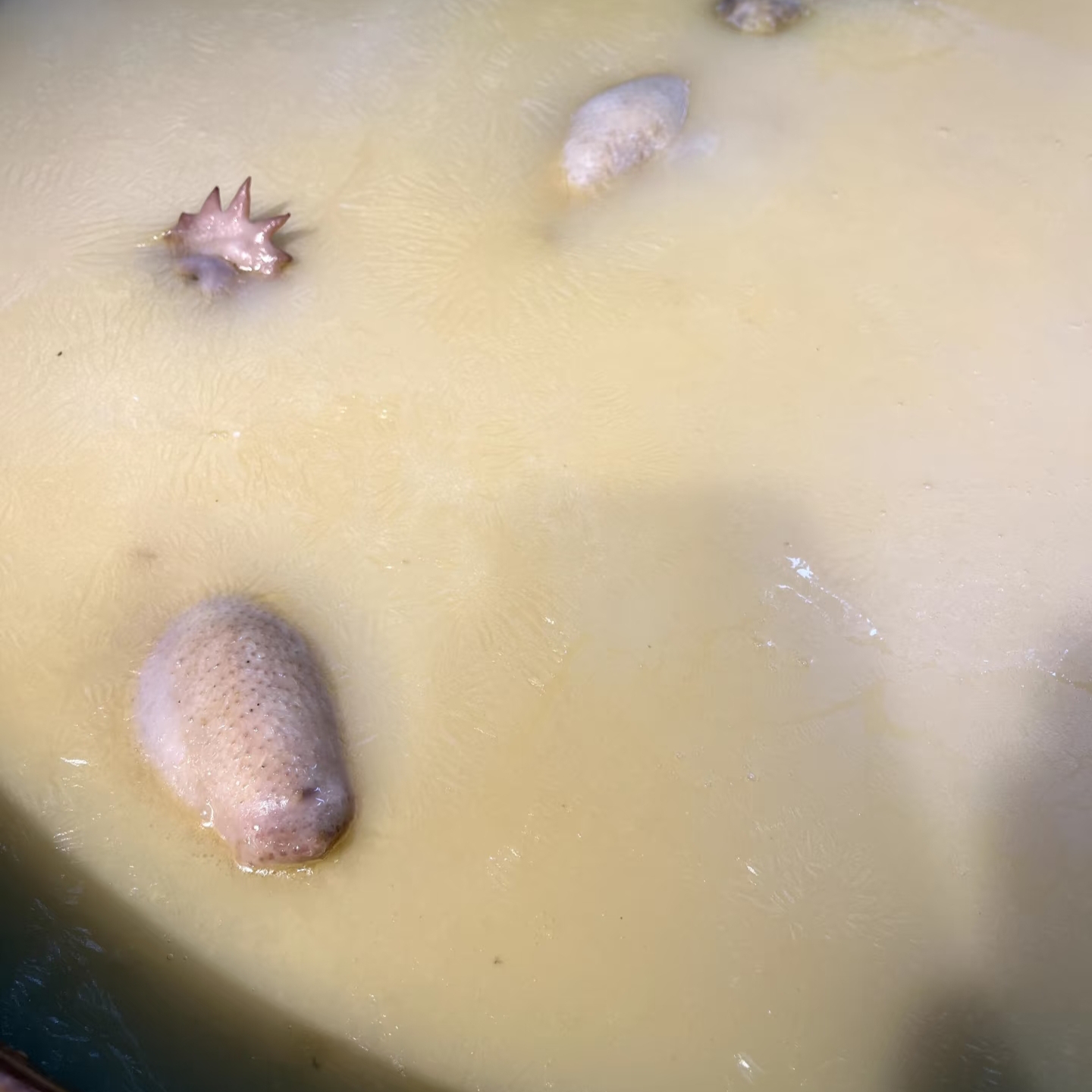 微信图片_20251101134207_103_62