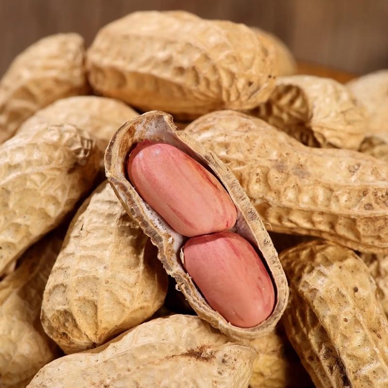 微信图片_20251101135148_106_62