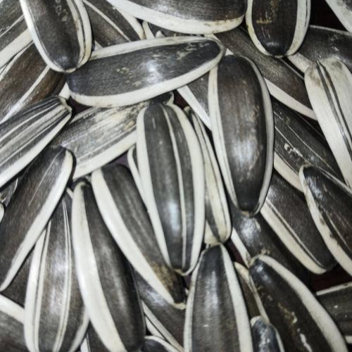 微信图片_20251101135149_107_62