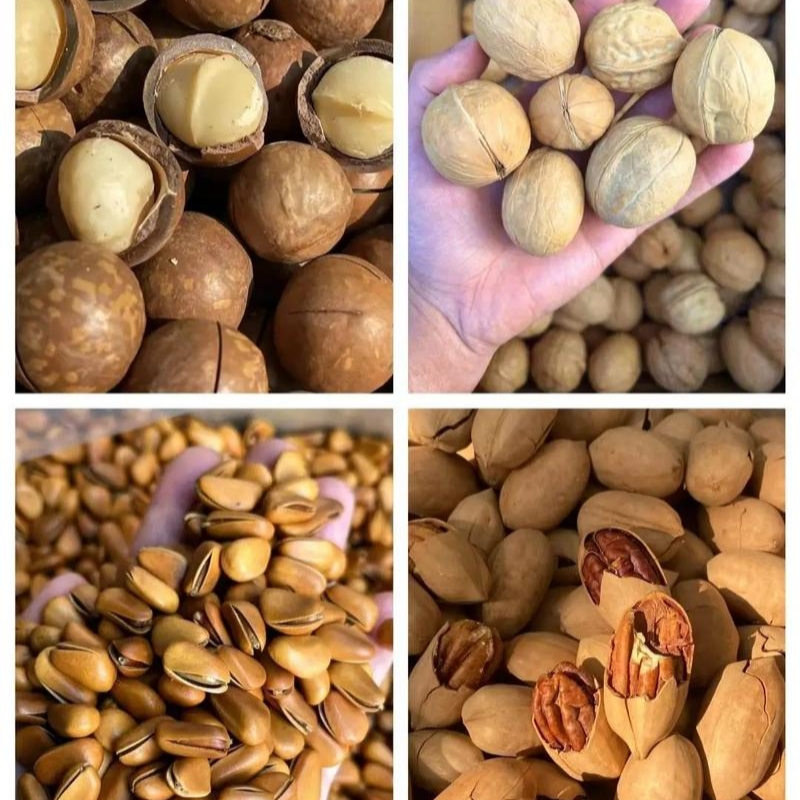 微信图片_20251110152154_228_62