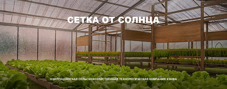 Сельское хозяйство завод - Heilongjiang Hengfa Agricultural Technology Co., Ltd.