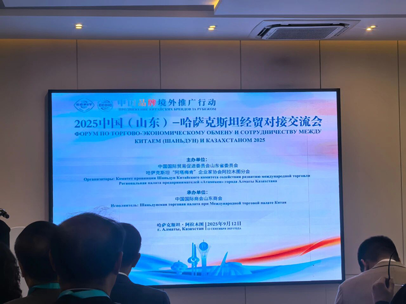 Группа компаний Juyuan представляет свои возможности на выставке в Центральной Азии, расширяя возможности сотрудничества (4)