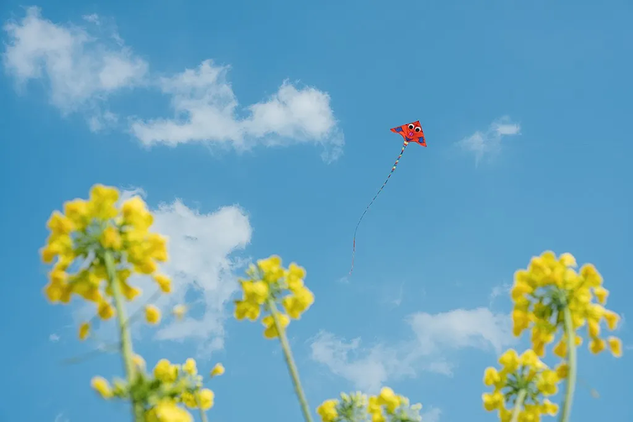 Весеннее равноденствие совпадает с праздником «Дракон поднимает голову» (9)