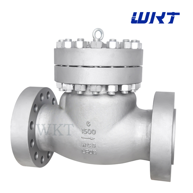 Swing Check Valves (2)