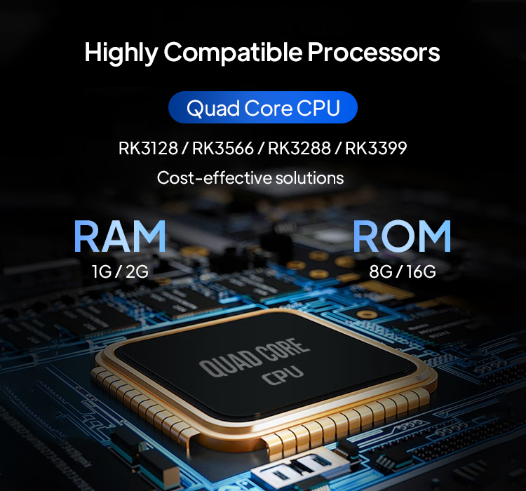 Custom cpu memory