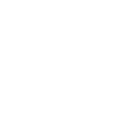 (1)