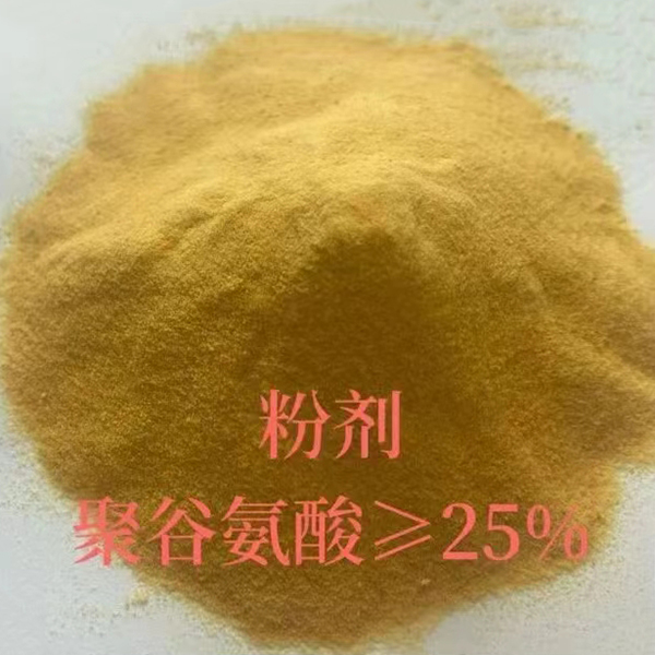 Полиглутаминовая кислота