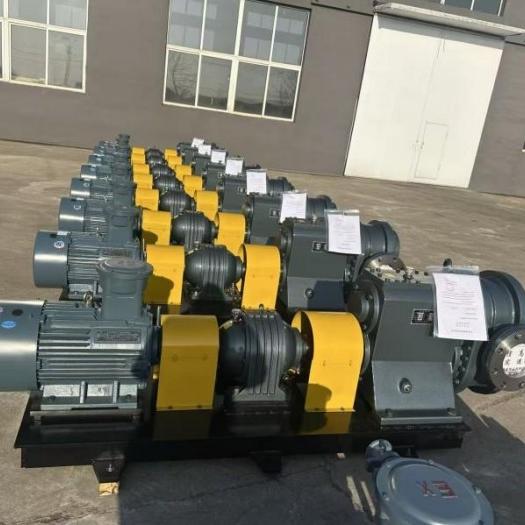 Насос-для-тяжелой-нефти-TLBNW-4
