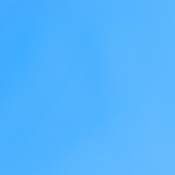 ZG2510VbСертифицированная био-вегетарианская кожа