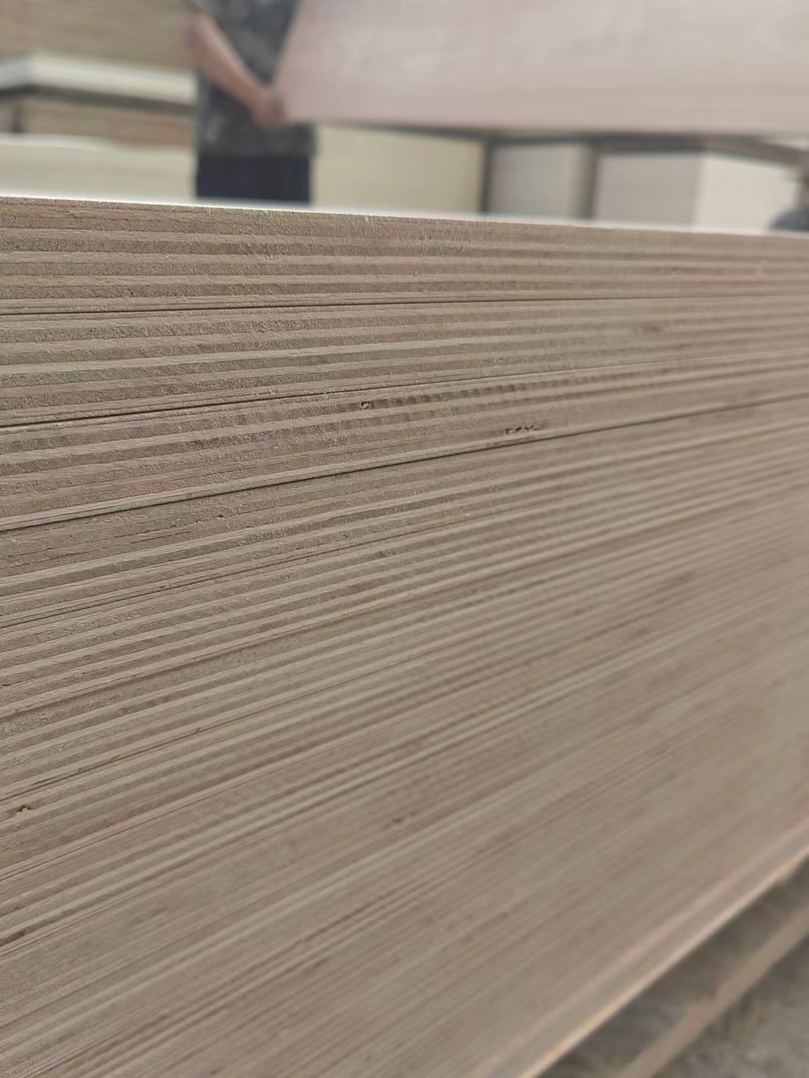 Строительная фанера Санкции Многопрофильная сплошная древесина Многослойная конструкция Ремонт Клееная плита по требованию