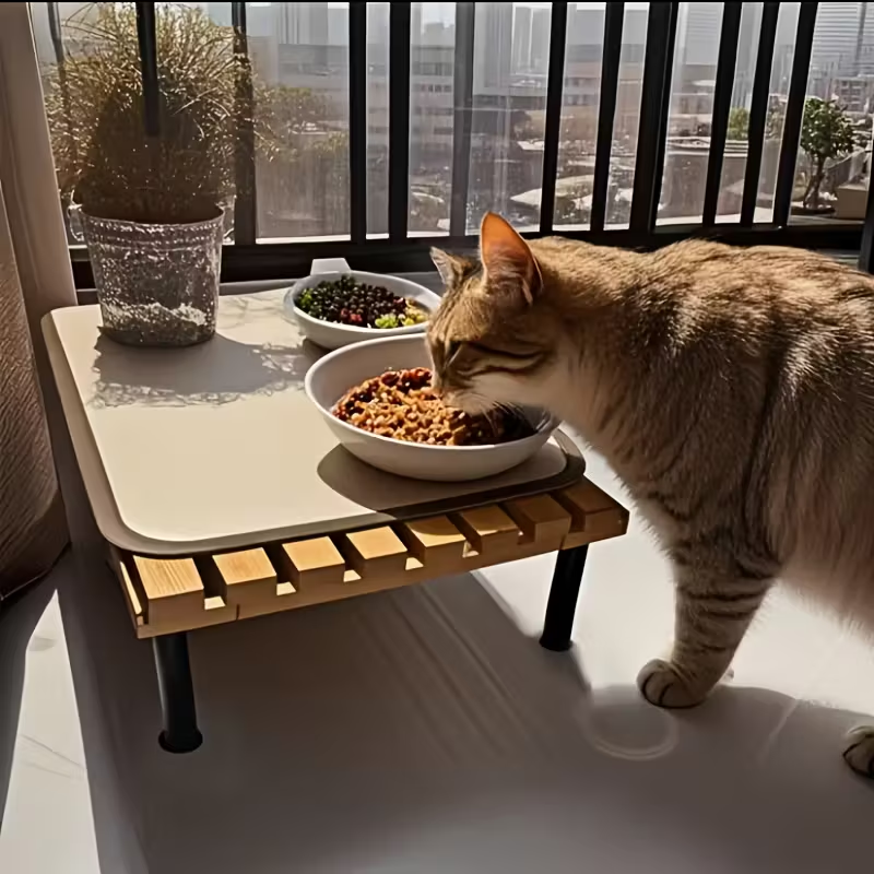 Коллекционный деревянный деревянный стол, маленький шкаф для сбора пожертвований, рабочий стол для сбора стаканов с водой в целом