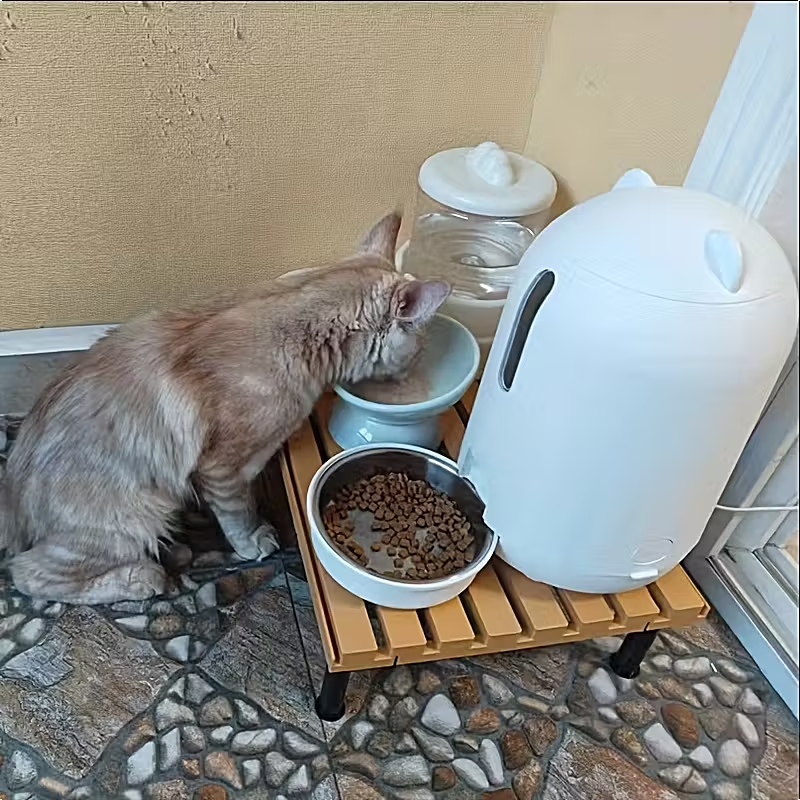 Коллекционный деревянный деревянный стол, маленький шкаф для сбора пожертвований, рабочий стол для сбора стаканов с водой в целом