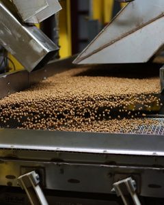 Линия производства корма для собак и кошек