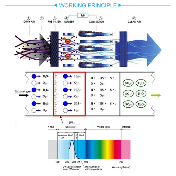 Профессиональные вытяжные зонты: Ключ к эффективной и комфортной кухне