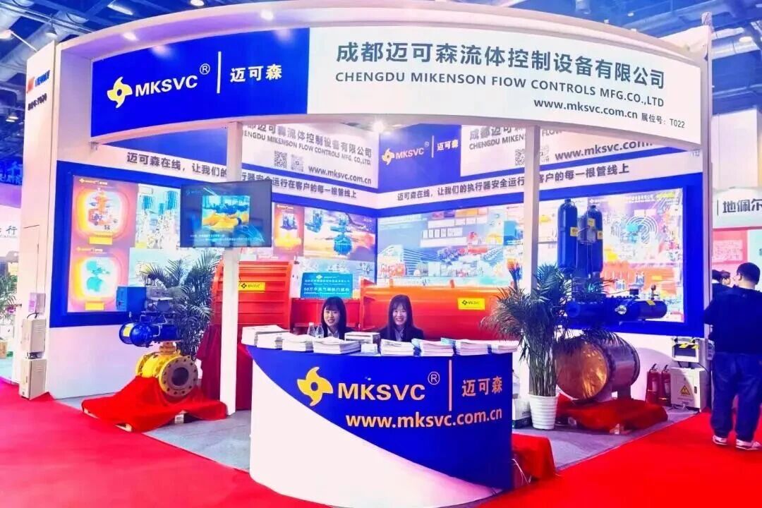 Устойчивый прогресс на пути к светлому будущему: годовой отчет Maikesen за 2025 год и стратегический прогноз на 2026 год.