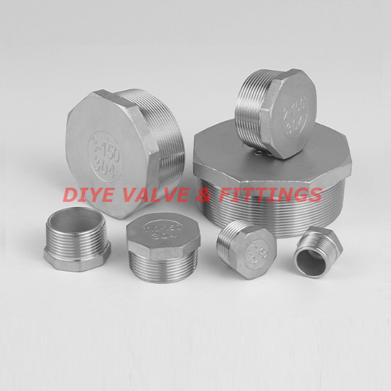 Заглушка нержавеющая - WENZHOU DIYE VALVE & FITTINGS CO.,LTD.