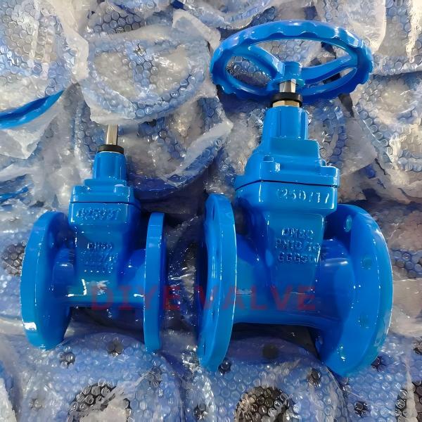 Задвижка чугунная фланцевая с обрезиненным клином 30ч39р - WENZHOU DIYE VALVE & FITTINGS CO.,LTD.
