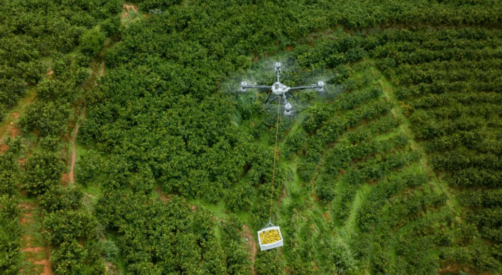 3f98b65f007709c2838a69074ff0d1e3_aa785d609ca44f49a4aec62a9c616285