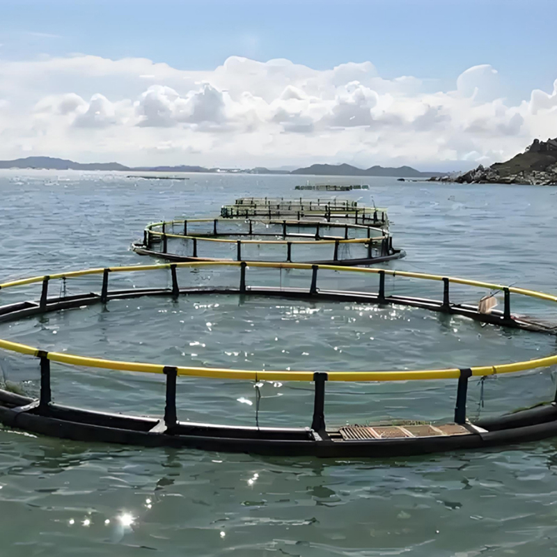 Рыболовная цепь