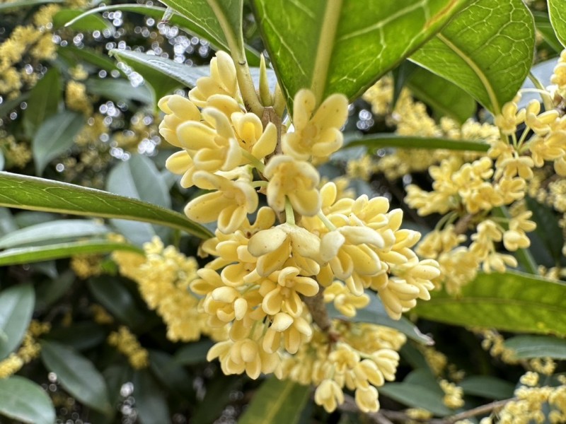 xinwen3 (1)