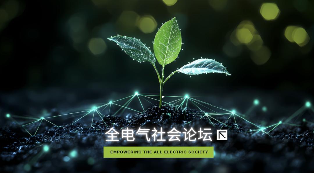 Все электрическое общество