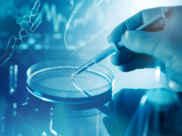 БДО и его производные БДО и его производные