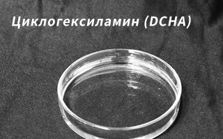 Продуктовые новости: Циклогексиламин (DCHA)