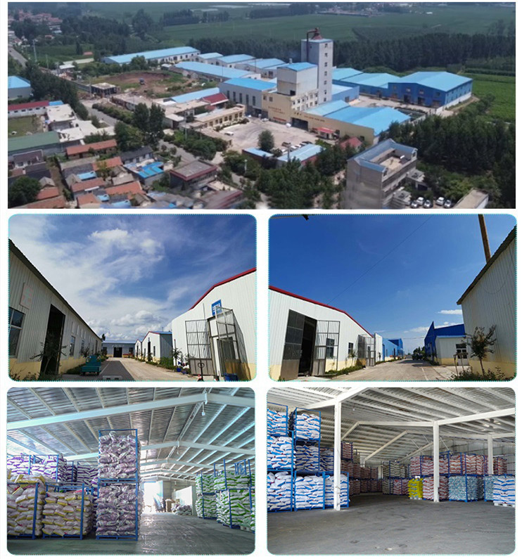 О Нас - SHANDONG FUHAI SILK ROAD TRADING CO.,LTD.