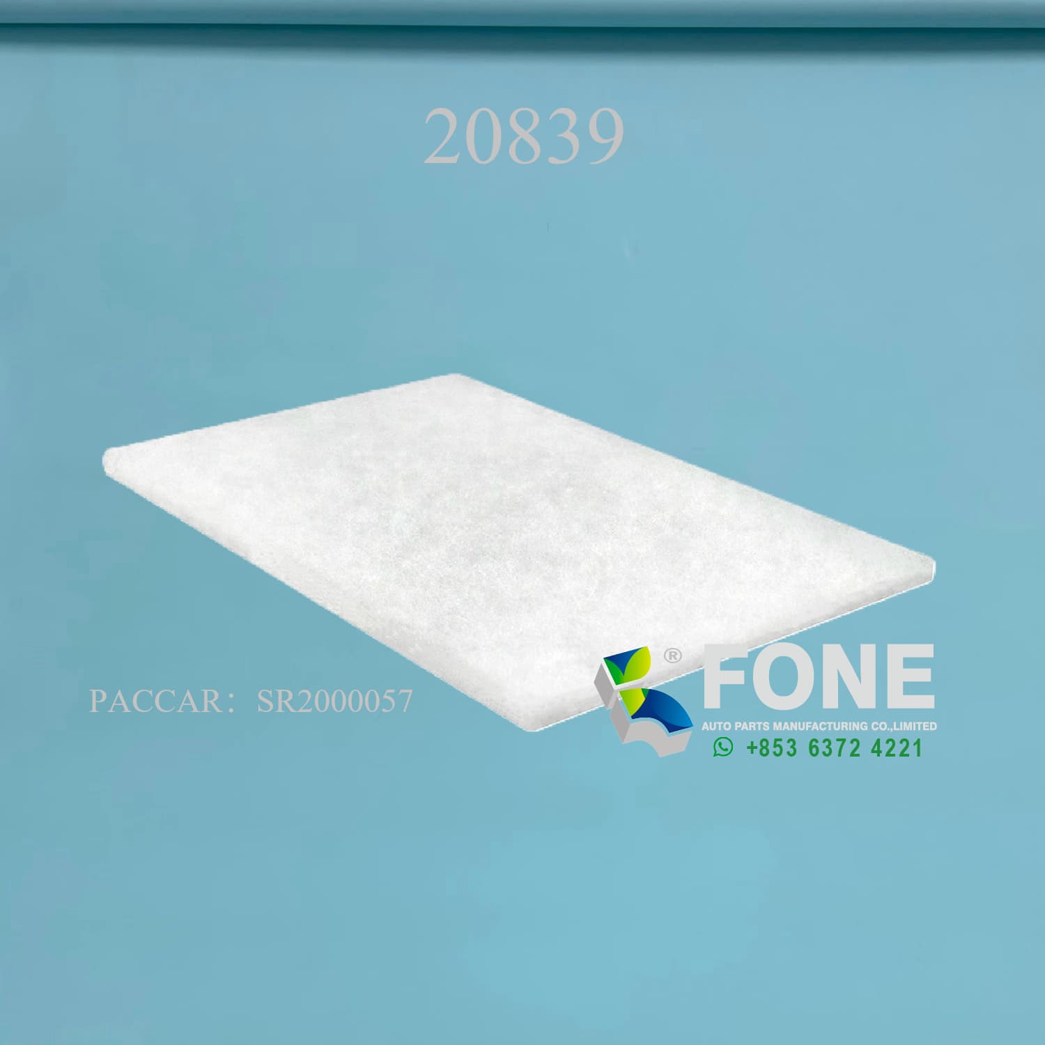 Фильтр для частиц 20839 ДЛЯ PACCAR