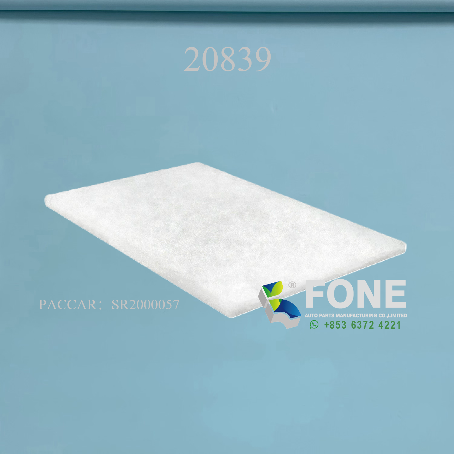 Фильтр для частиц 20839 ДЛЯ PACCAR