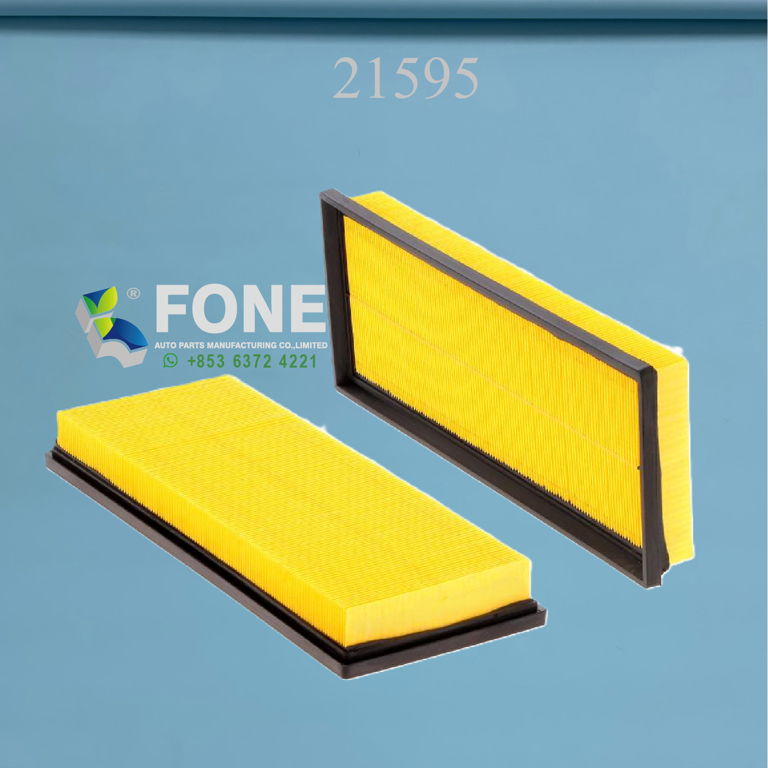 Фильтр для частиц 21595 ДЛЯ ROTTNE