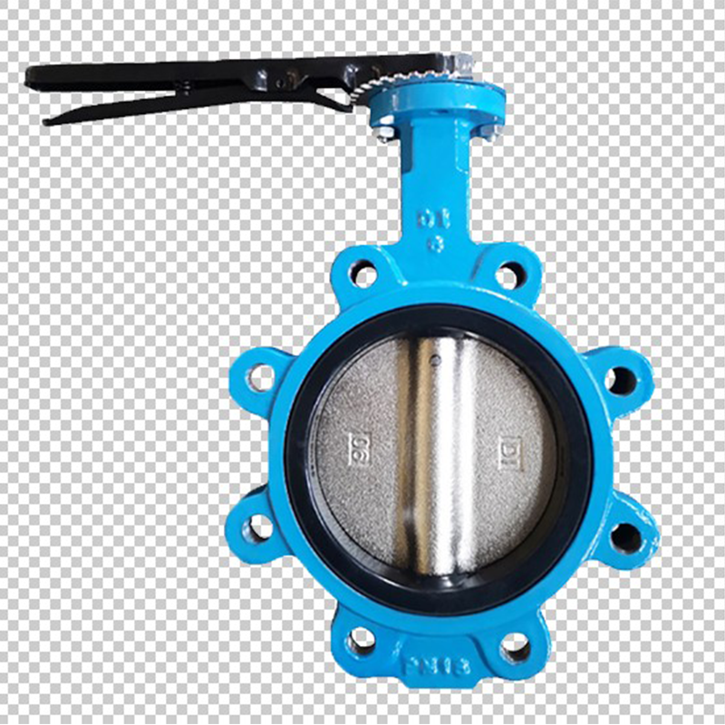 Фланцевый дисковый затвор с проушинами