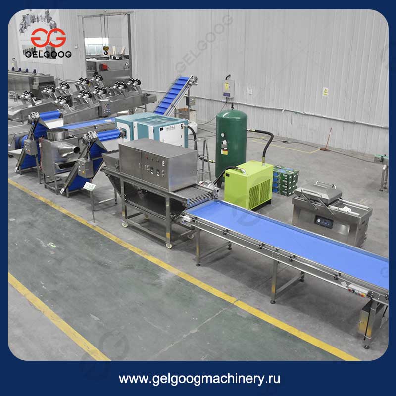 Газовая фритюрница для линии обжарки чеснока