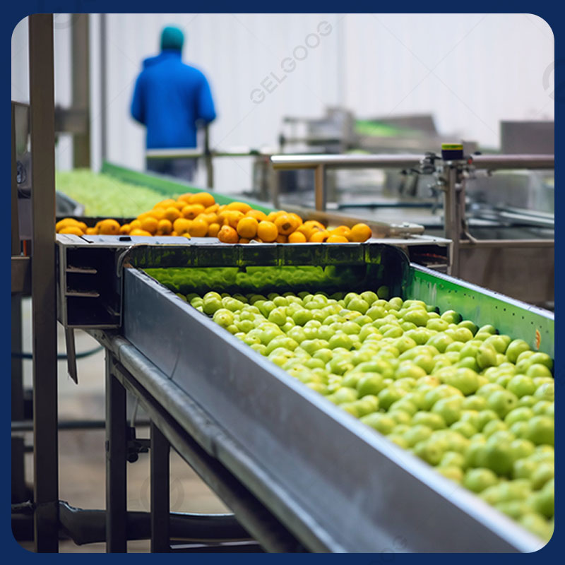 Линия по переработке фруктов для малого бизнеса и производства сока