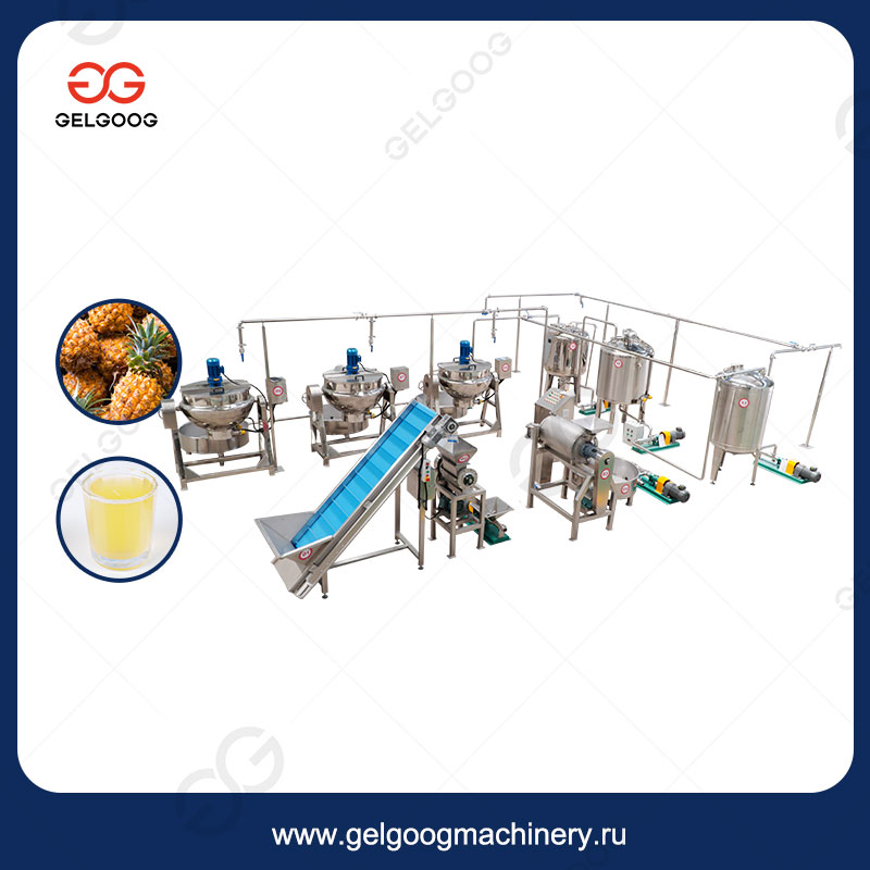 Линия по производству свежего ананасового сока производительностью 500 кг/ч