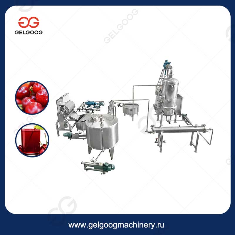 Линия по производству вишневого сока производительностью 500 кг/ч