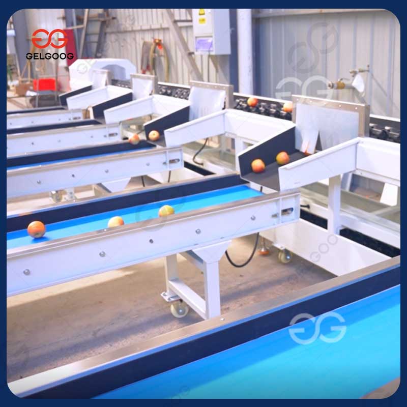 Как машина для обработки фруктов улучшает экологичность?