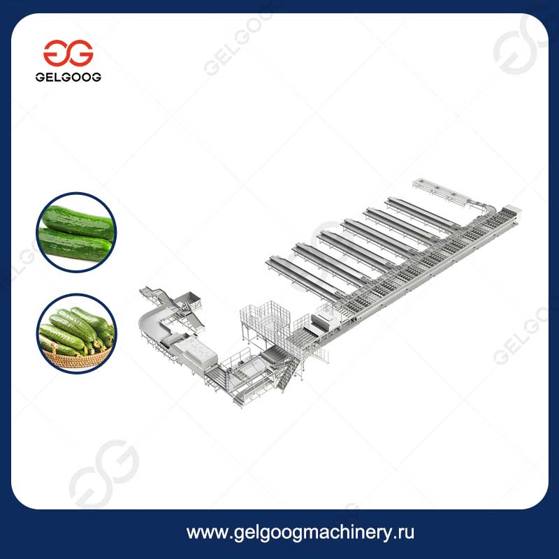 Линия Мойки, Сортировки И Переработки Корнишонов